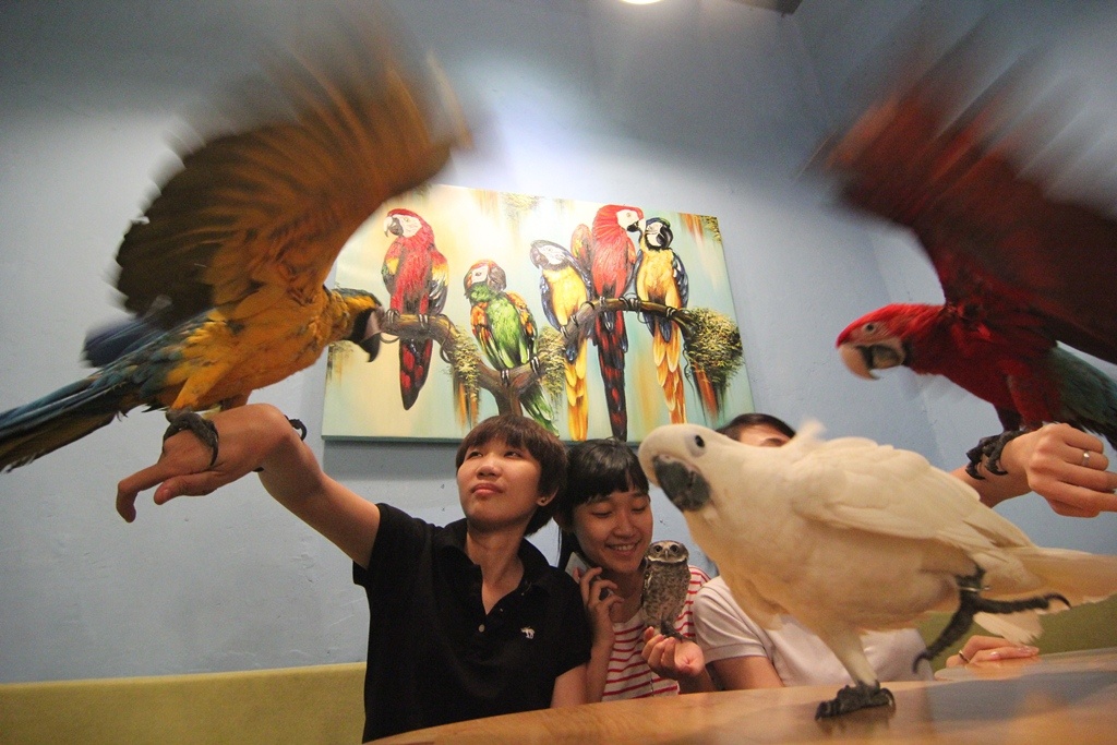 Thu tieu khien uong ca phe voi vet va cu cua gioi tre TP.HCM hinh anh