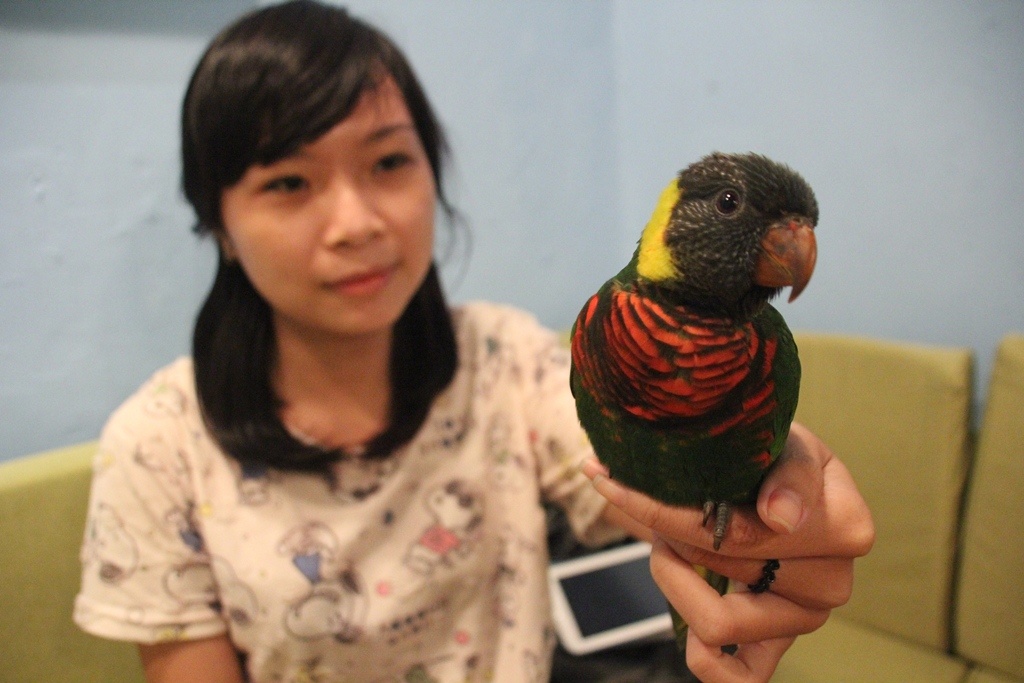 Trung bình 2 tuần quán sẽ đổi vẹt một lần để tạo sự đa dang. Mỗi con vẹt, con cú đều được dặt tên riêng và chủ quán cũng lấy tên chúng làm tên thức uống.