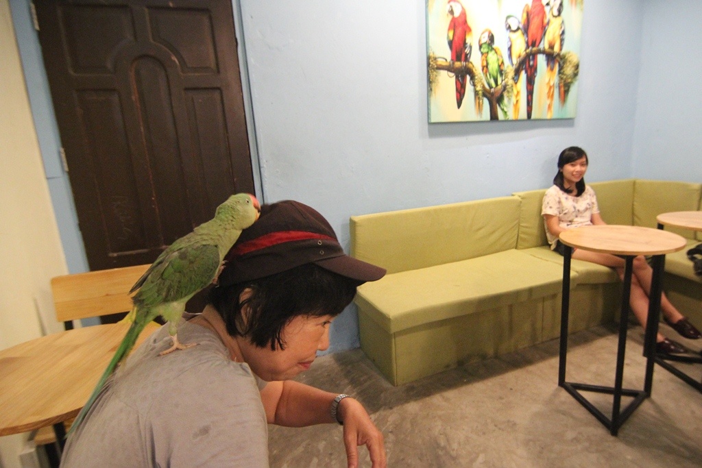 Không chỉ thu hút bạn trẻ, mà có những người già vì yêu động vật cũng tìm đến với quán.