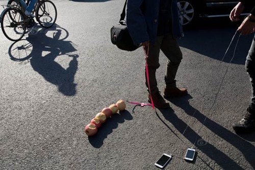 Màn dắt iPhone và chuỗi táo của Han Bing.