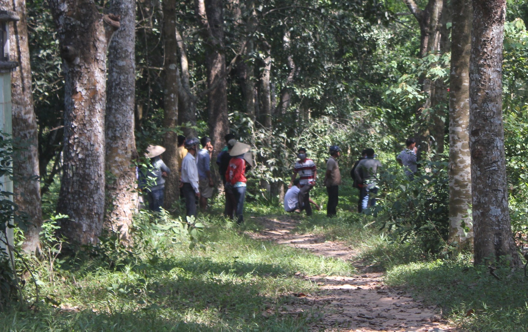 Thi the nam thanh nien treo co trong vuon cay hinh anh