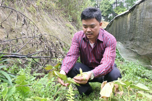 'Than y lang thang' chua da day o Lao Cai hinh anh