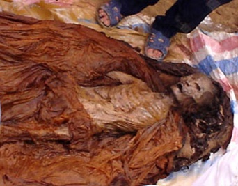 2,5 tan go dung uop xac bi bat giu hinh anh