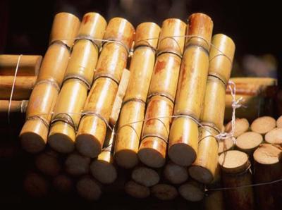 Chieu giau ma tuy trong khuc mia bi lat tay hinh anh