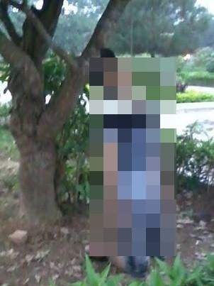 Nam thanh nien treo co o cong vien hinh anh