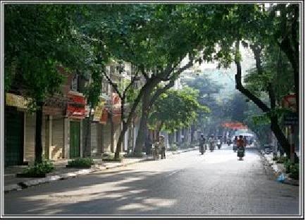Dam vo cu 12 nhat dao giua pho co hinh anh