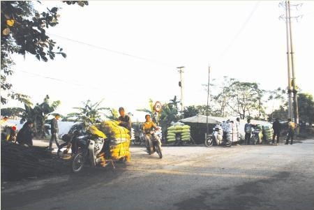 Cho... phan giua Thu do hinh anh