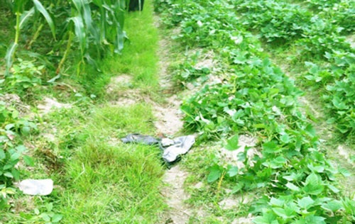 9X danh nguoi ngat xiu roi cuong hiep tai ruong hinh anh