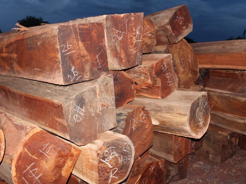 Gan 1,6 tan go quy van chuyen qua duong hang khong hinh anh