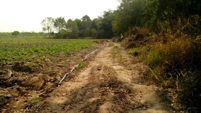 Chu tich xa pha rung tai sinh de trong mi hinh anh