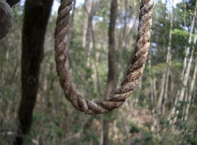 Nghi pham hai doi be gai treo co tu sat hinh anh