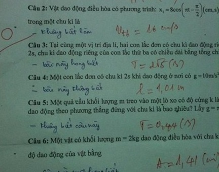 Bai kiem tra 'bat can doi' xon xao cong dong mang hinh anh