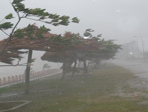 Don xin nghi hoc vi 'mua gio lanh lung' cua... cu ba hinh anh