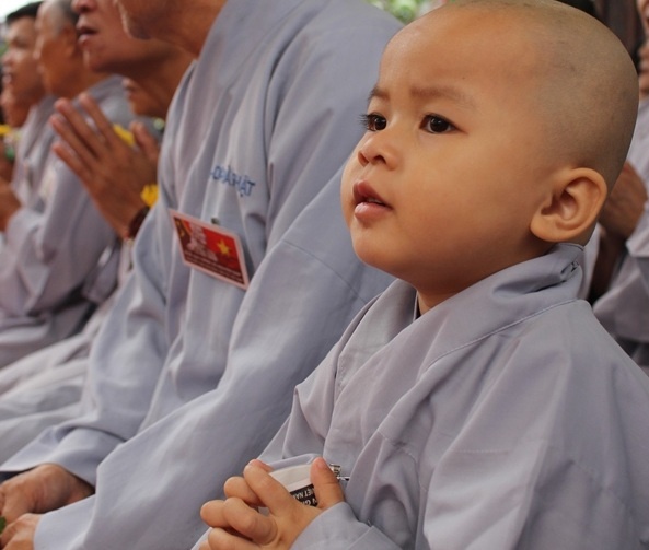 Hang nghin nguoi cau sieu Dai tuong Vo Nguyen Giap hinh anh