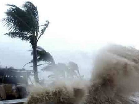 Cu dan mang xuyen dem cang thang cap nhat sieu bao Haiyan hinh anh