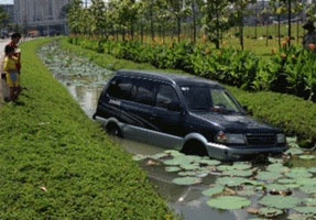 Ne xe may di au, xe con lao xuong ao sen hinh anh