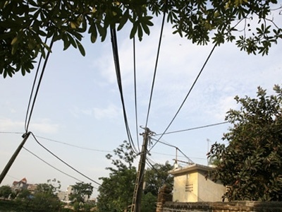 Xac dan ong treo tren tru dien hinh anh