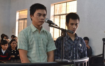 Hiep dam tre em, hai 'yeu rau xanh' lanh 36 nam tu hinh anh