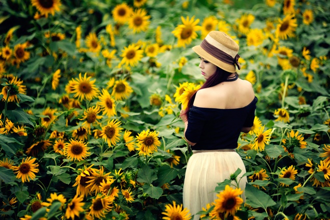 Nu sinh Cong nghiep bay bong giua dong hoa huong duong hinh anh