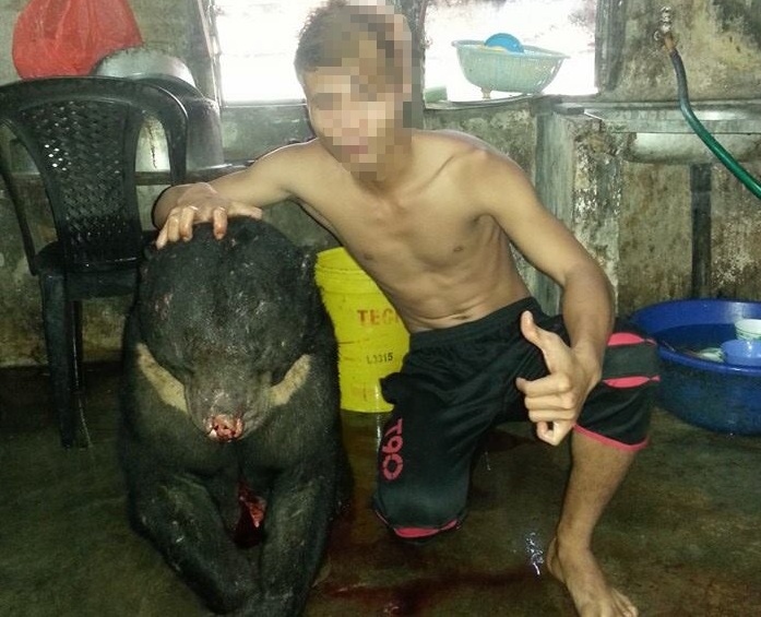 Nam thanh nien khoe anh giet gau len mang hinh anh