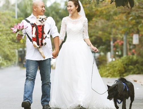 Cap vo chong chup anh cuoi cung cho meo bi bo roi hinh anh