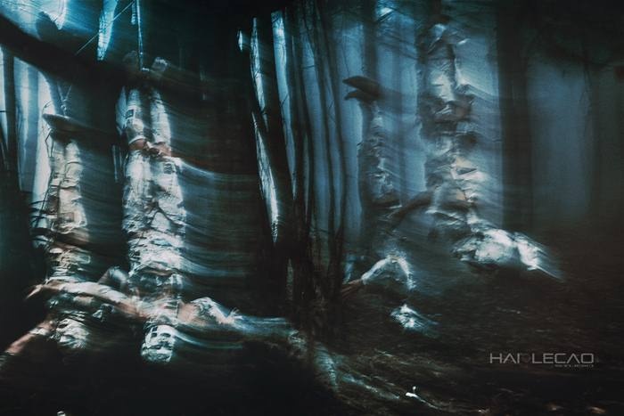 Nhiếp ảnh Hai Le Cao tâm sự: để có khuôn hình động này, các người mẫu của anh đã phải  treo ngược lại và xoay vòng nhiều lần.