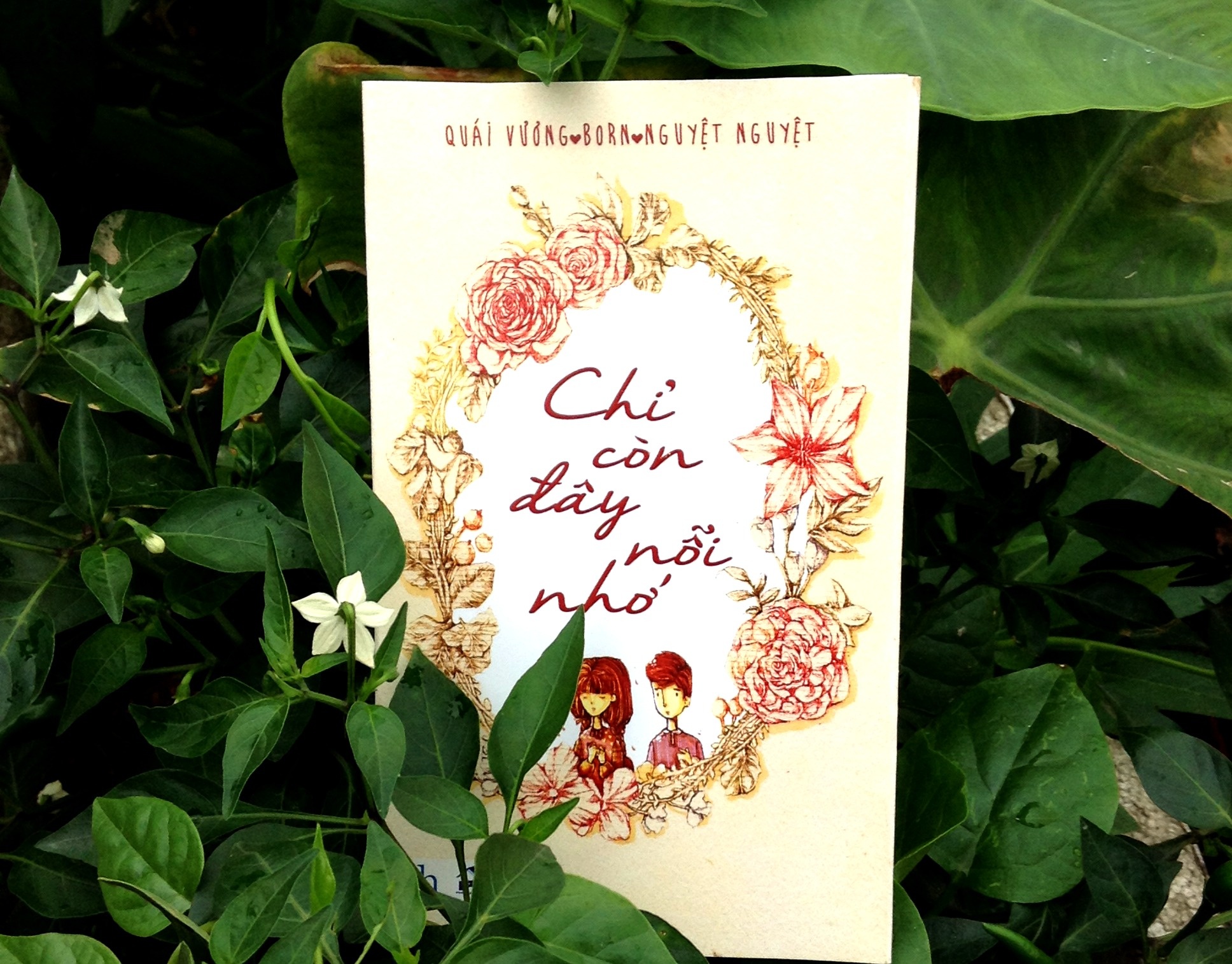 Ảnh bìa cuốn sách.