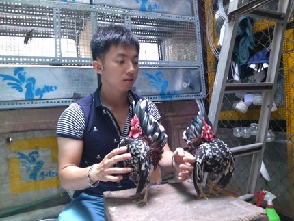 Thu choi ga thuong luu cua gioi tre Ha thanh hinh anh