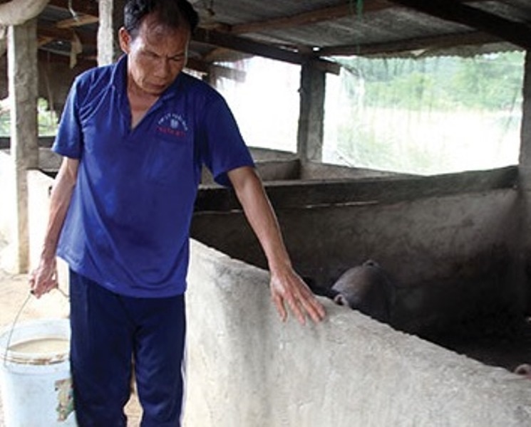 Chat bop tung dong cho con den lop hinh anh