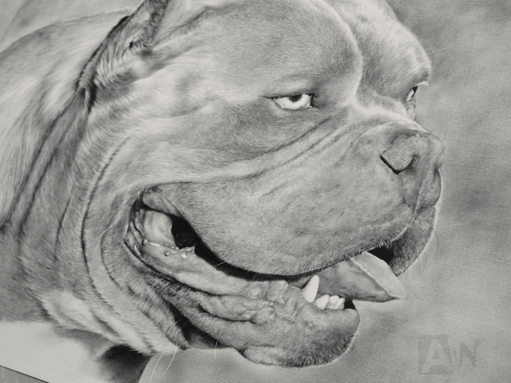 Nhập 1mô tả cho ảnh