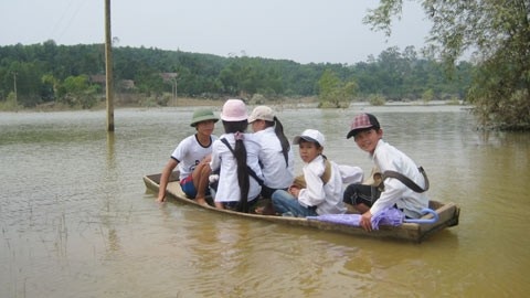 Bo GD yeu cau so tan tranh bao Than Sam hinh anh