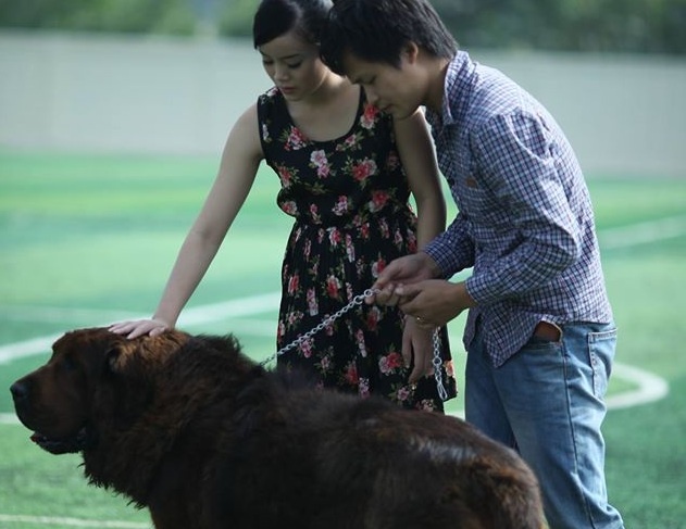 Clip VTV ve 8X lam chu trai cho tien ty hinh anh