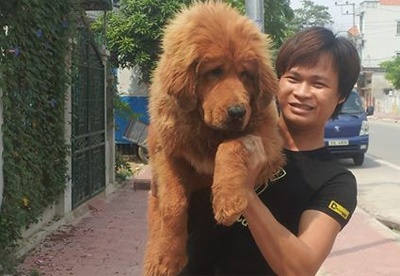 8X Viet thanh dai gia nho nuoi loai cho dat nhat hanh tinh hinh anh