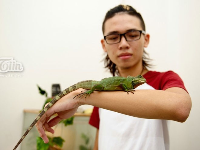 Day đã sở hữu 20 con bò sát khác nhau như  tắc kè, rắn rết, bọ cạp. Duy bắt đầu sở thích này cách đây 7 năm.