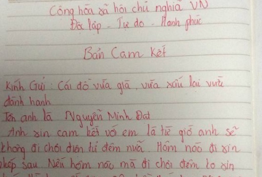 Ban cam ket 'neu choi dien tu, anh se mac vay' hinh anh