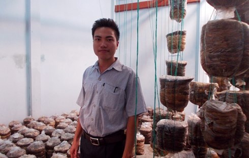 Phước Lai trong phòng thí nghiệm nấm bào ngư.