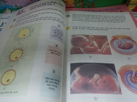 Đứng trước ngay bài học