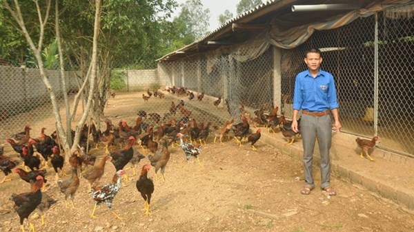 Trần Văn Hải bên đàn gà.