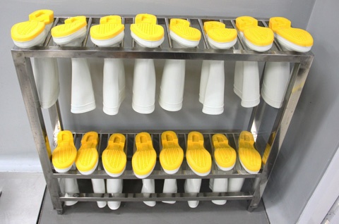 Nhập mô 1cho ảnh