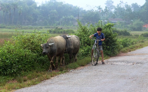 Nhập mô tả 2cho ảnh