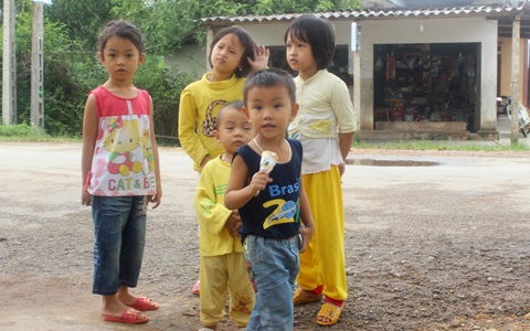 Nhập mô tả ch3o ảnh