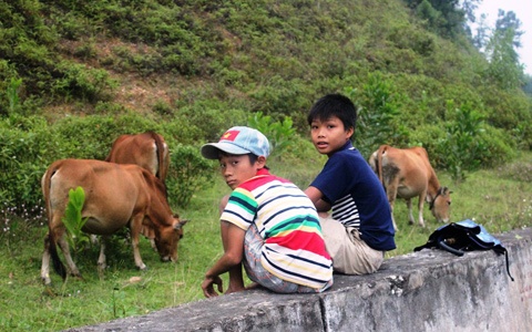 Nguoi lon thi gan, 600 tre that hoc hinh anh