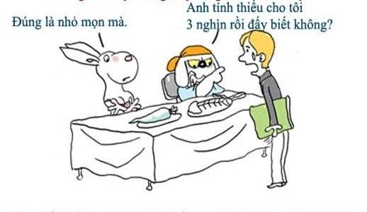 Nhập mô tả cho 4