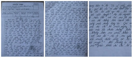 Bài văn của học sinh Kiều Vân.