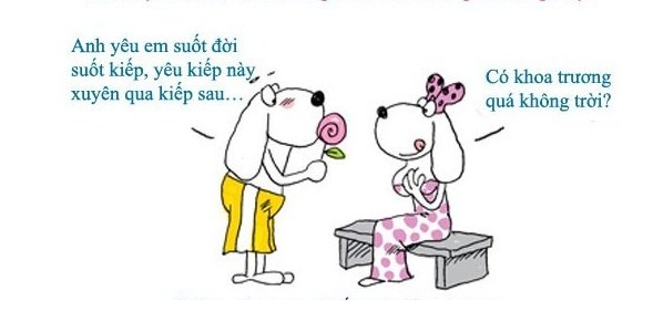 Nhập mô tả1 cho ảnh