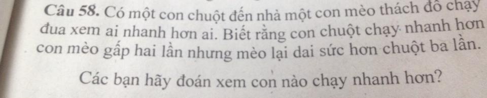 Bài toán mèo và chuột.