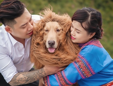 Cap doi chup anh cuoi voi cho doi lot su tu hinh anh