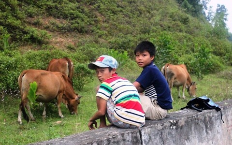 Bo Giao duc dua 500 hoc sinh that hoc tro lai truong hinh anh