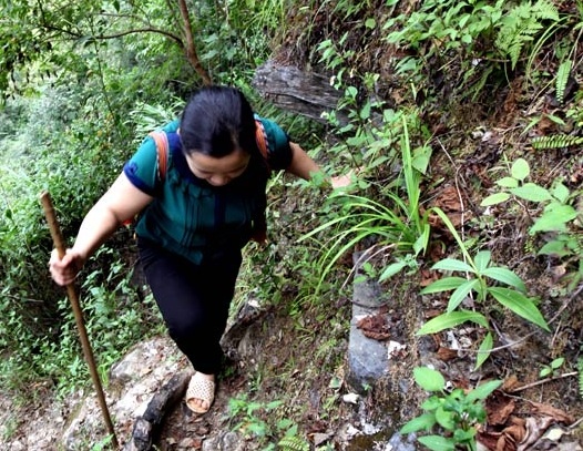 Co giao doc suc leo, bam vach da di day hinh anh