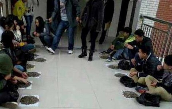 Các sinh viên cắn hạt hướng dương ở ngoài hành lang.